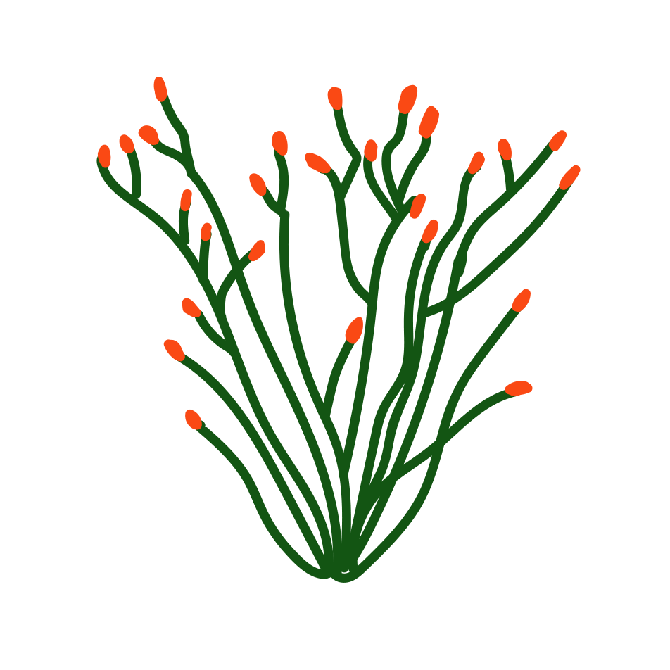 Ocotillo Land Resources